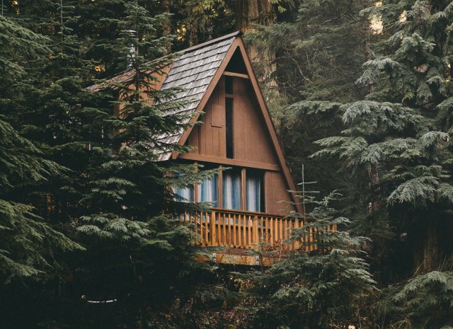 chalet en forêt
